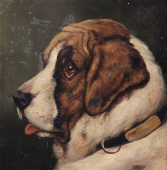 English School, Peggetty and Mischief, portraits of a Bulldog and St Bernard 9 x 9in.